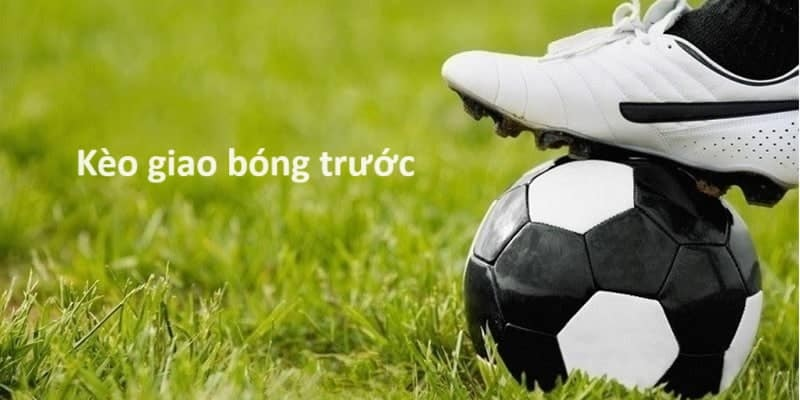 Tham khảo chuyên gia giúp nâng cao cơ hội thắng